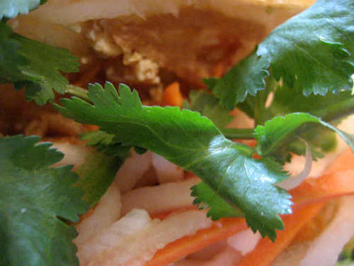 Lee's Sandwiches - veggie - bi chay